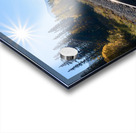 Banff train tracks with sun mountains 3 Acrylic print