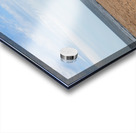 Greenwich beach driftwood art Acrylic print