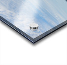 Greenwich beach driftwood art 4 Acrylic print