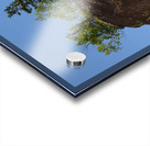 Hopewell Rock head silhouette Acrylic print