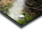 jungle tree waterfall 2 Acrylic print