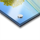 Mangrove on Cuban beach 2 Acrylic print