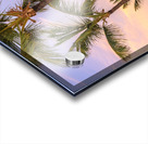 Palmtrees on coloured sky with moon Acrylic print