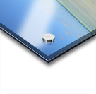 Mangrove on Cuban beach Acrylic print