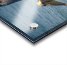 Cuban pelican splash Acrylic print