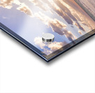 Cuban beach sunrise tiny seaweed Acrylic print