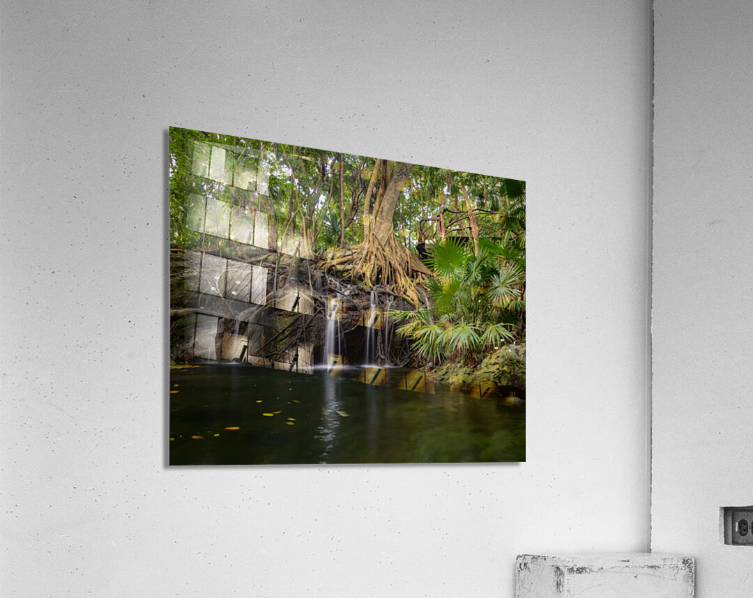 jungle tree waterfall 2 Acrylic Print