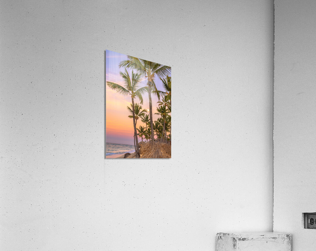 Palmtrees on coloured sky with moon Acrylic Print