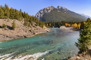 bow river bend 2621