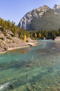 bow river bend 2 2624