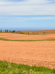 PEI red sand farm fields