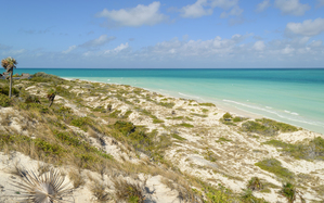 Cuban Dune View Ocean