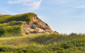Greenwich grass dune on sky background