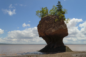 hopewell rock head silhouette-2