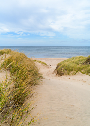 PEI sand dune beach view