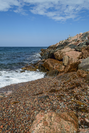 Pleasant Bay rock shore