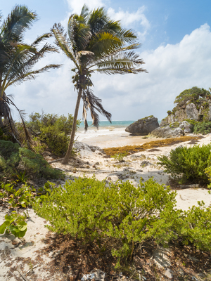 Tulum beach ocean view 4