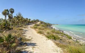 Walk on Cuban Dunes Ocean