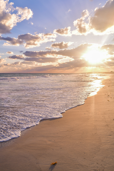 Cuban beach sunrise tiny seaweed Print