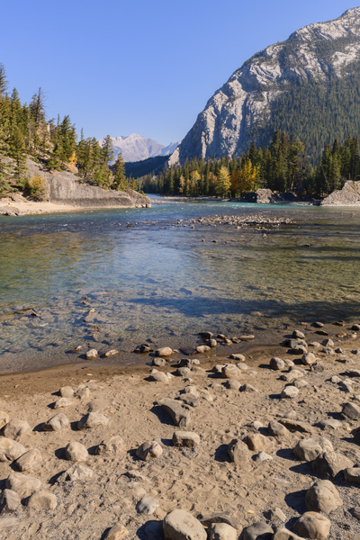 bow river bend shore 2626 Print