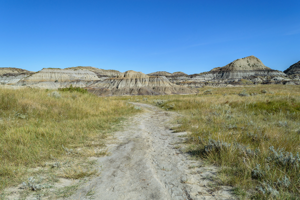 horseshoe canyon path 1540 Print