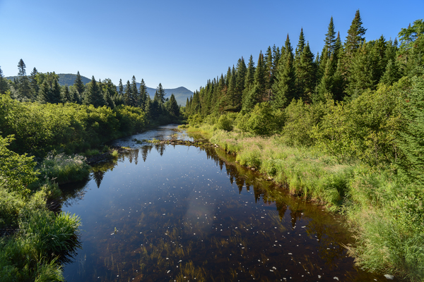 Mount Katahdin campsite Nesowadnehunk river Print