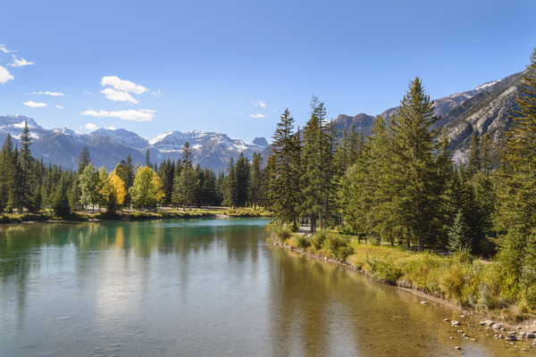 Bow River banff alberta Print