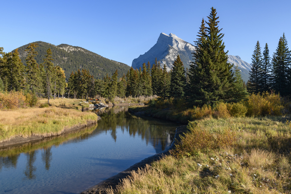 Bow River banks Banff mountains Print
