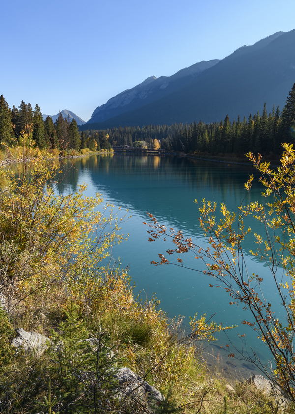 Bow River Banff mountains 2-4 Print