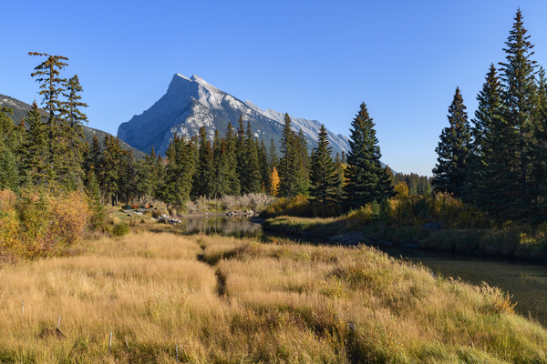 Banff Bow river banks mountains 2-8 Print