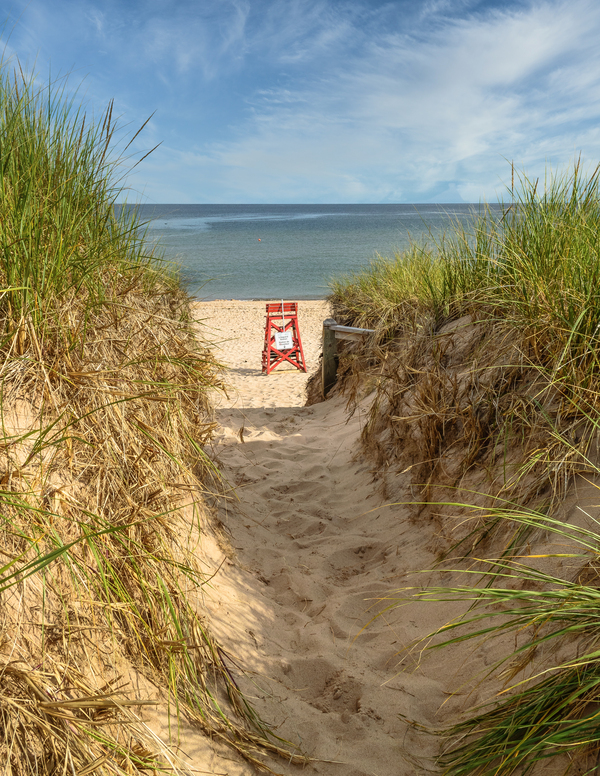 Basin head lifeguard chair PEI Print