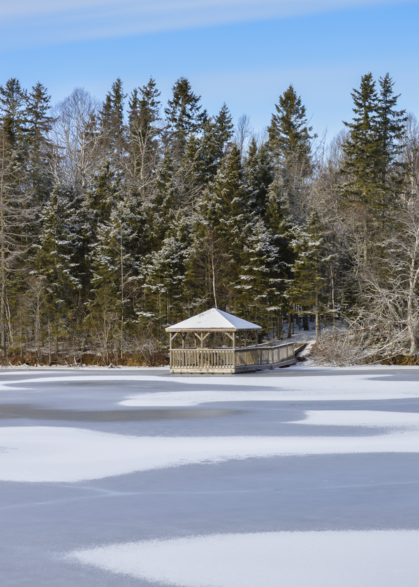 Bird sanctuary pond winter Print