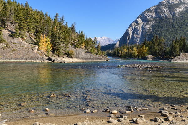 Banff Bow River shore and mountains Print