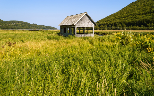 Cape Breton valley 2 Print
