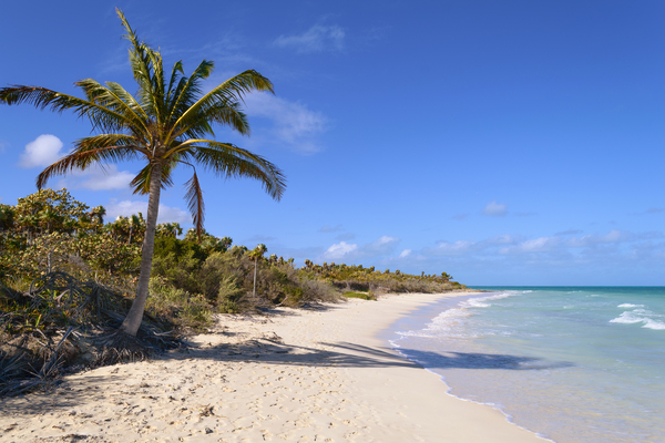 Cayo Coco Cuba beach Print