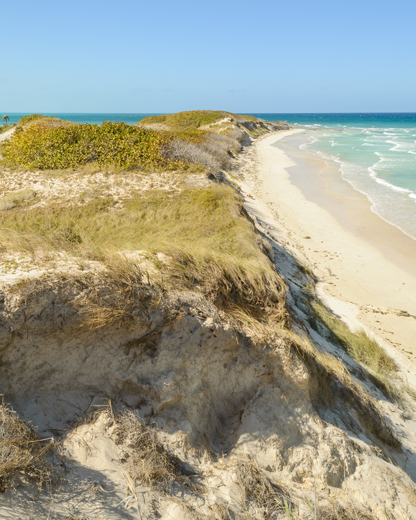 Cayo Coco Cuban Dune Print