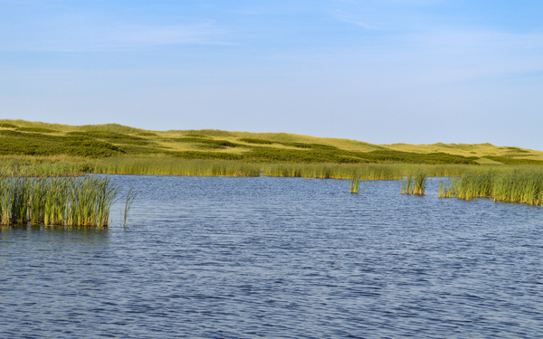 Greenwich grass dune on sky background Print