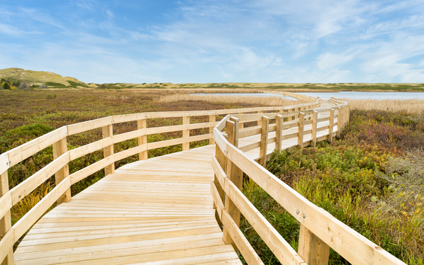 Greenwich boardwalk trail Print
