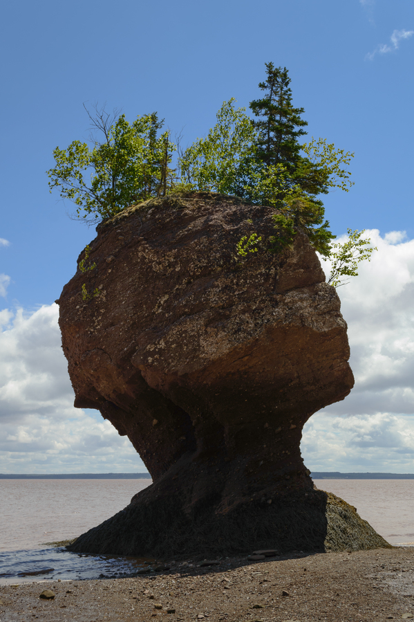 Hopewell Rock head silhouette Print