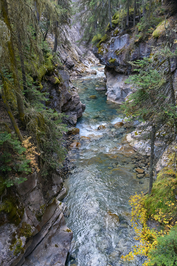 Johnston Canyon river Print