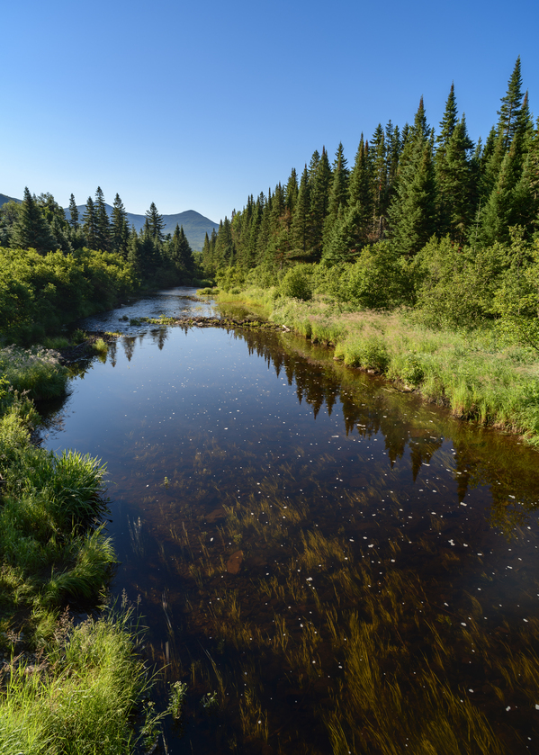 Mount Katahdin campsite Nesowadnehunk river 2 Print
