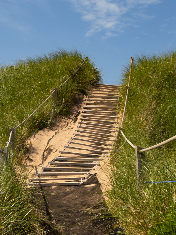 Pathway over the dunes to the beach. Print