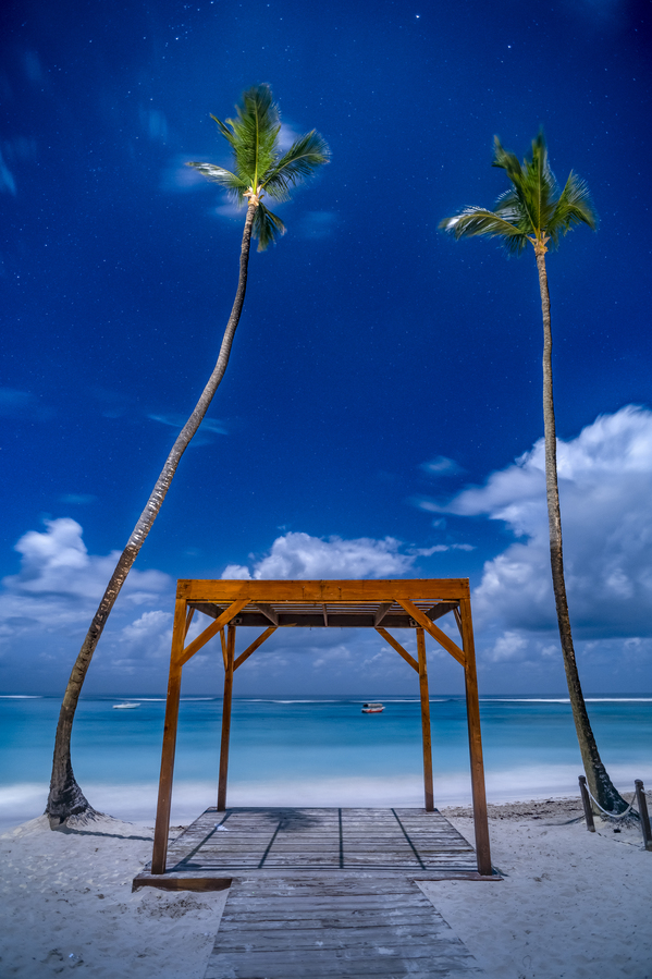 palmtrees beach night Print