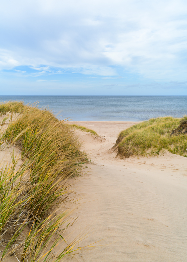 PEI sand dune beach view Print