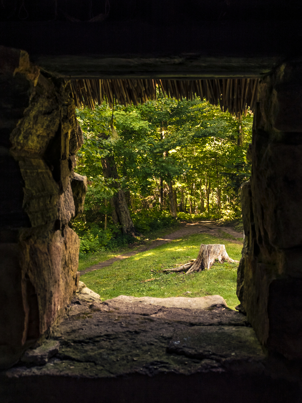 Cuban Pelican flying with blue sky Print
