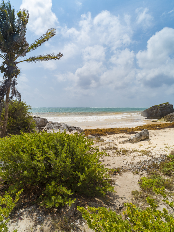 Tulum beach ocean view 2 Print