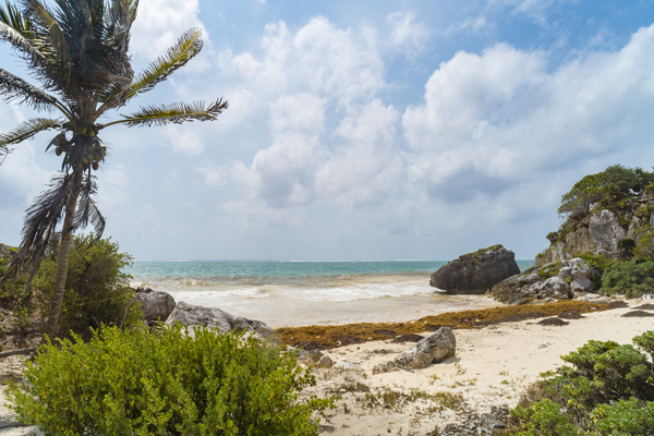 Tulum beach ocean view 3 Print