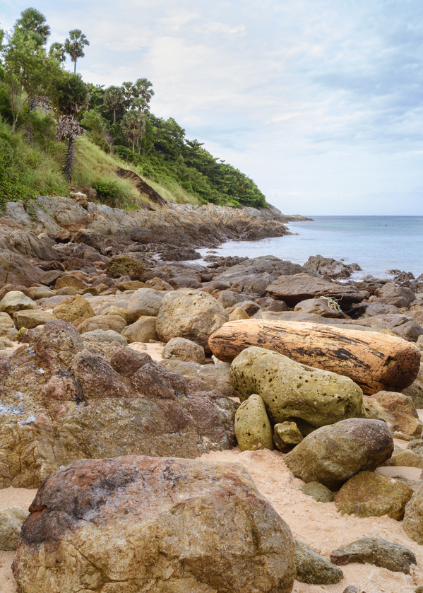 Ya-nui rock beach shore 2 Print