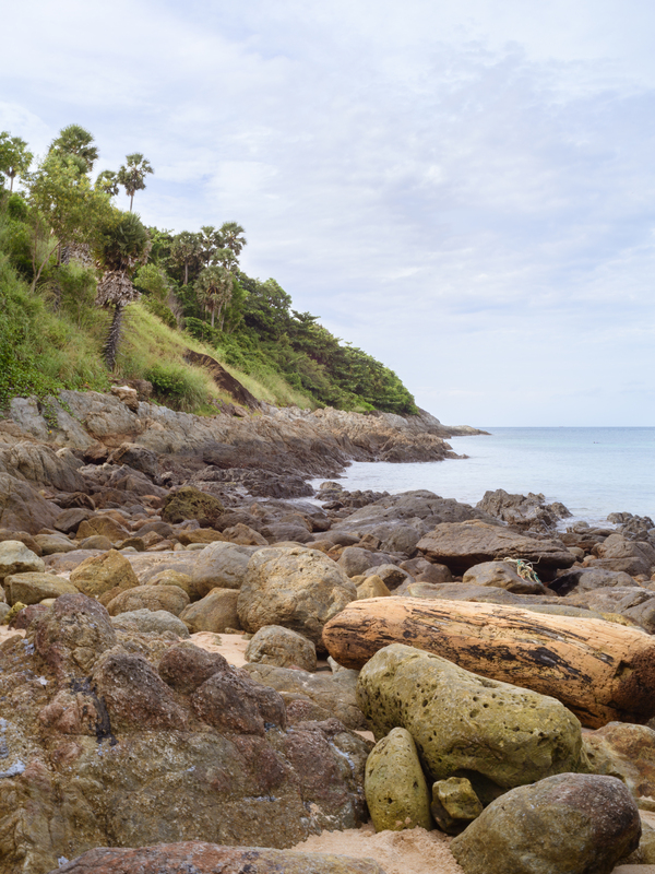 Ya-nui rock beach shore 2 Print