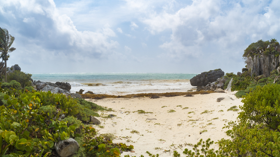 Tulum beach ocean view  Print